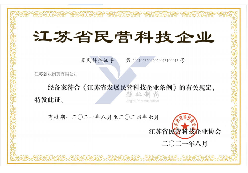 Jiangsu - privačios technologijos - įmonės sertifikatas